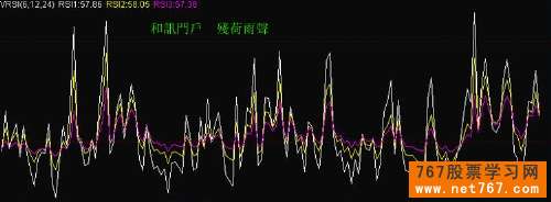 查看更多精彩图片